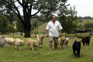 Adamasdor Labradors